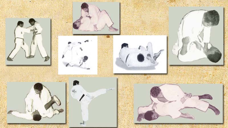 Treinos do professor Adilson